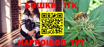 тгк Будённовск