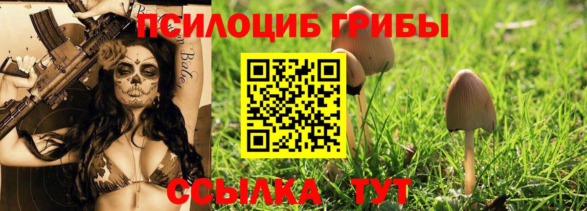 Галлюциногенные грибы MAGIC MUSHROOMS Мегион